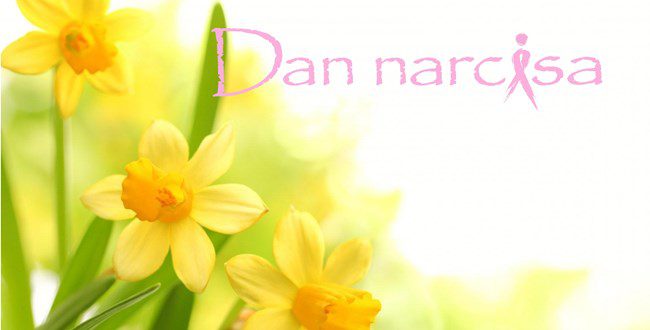 Dan Narcisa